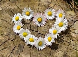 &quot;Flower Delivery Companies Online